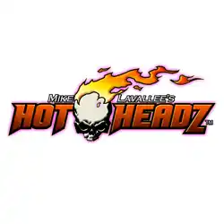 アネスト岩田 テンプレート HOT HEADZ 4枚組 ホットヘッズ の商品画像です