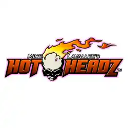 アネスト岩田 テンプレート HOT HEADZ 4枚組 ホットヘッズ